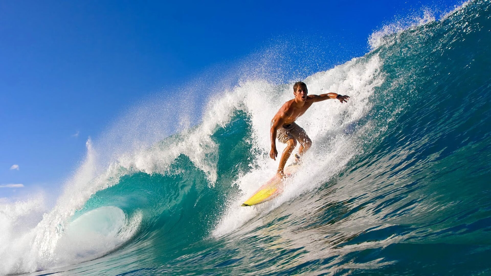 “东安湖体育公园：铁人三项挑战选手全能极限”