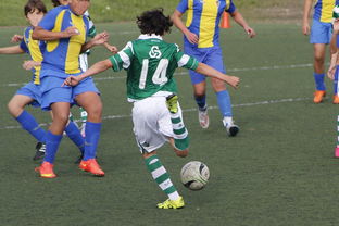 米兰体育赛事-体育新闻中心发布体育内容原创度评估智能工具，原创体育sports